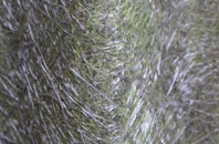 Stoneley Green fibreglass roof work